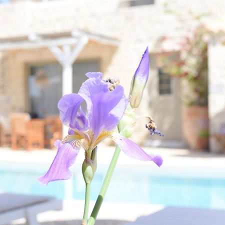 Laini Luxury Suites Pombia Kültér fotó