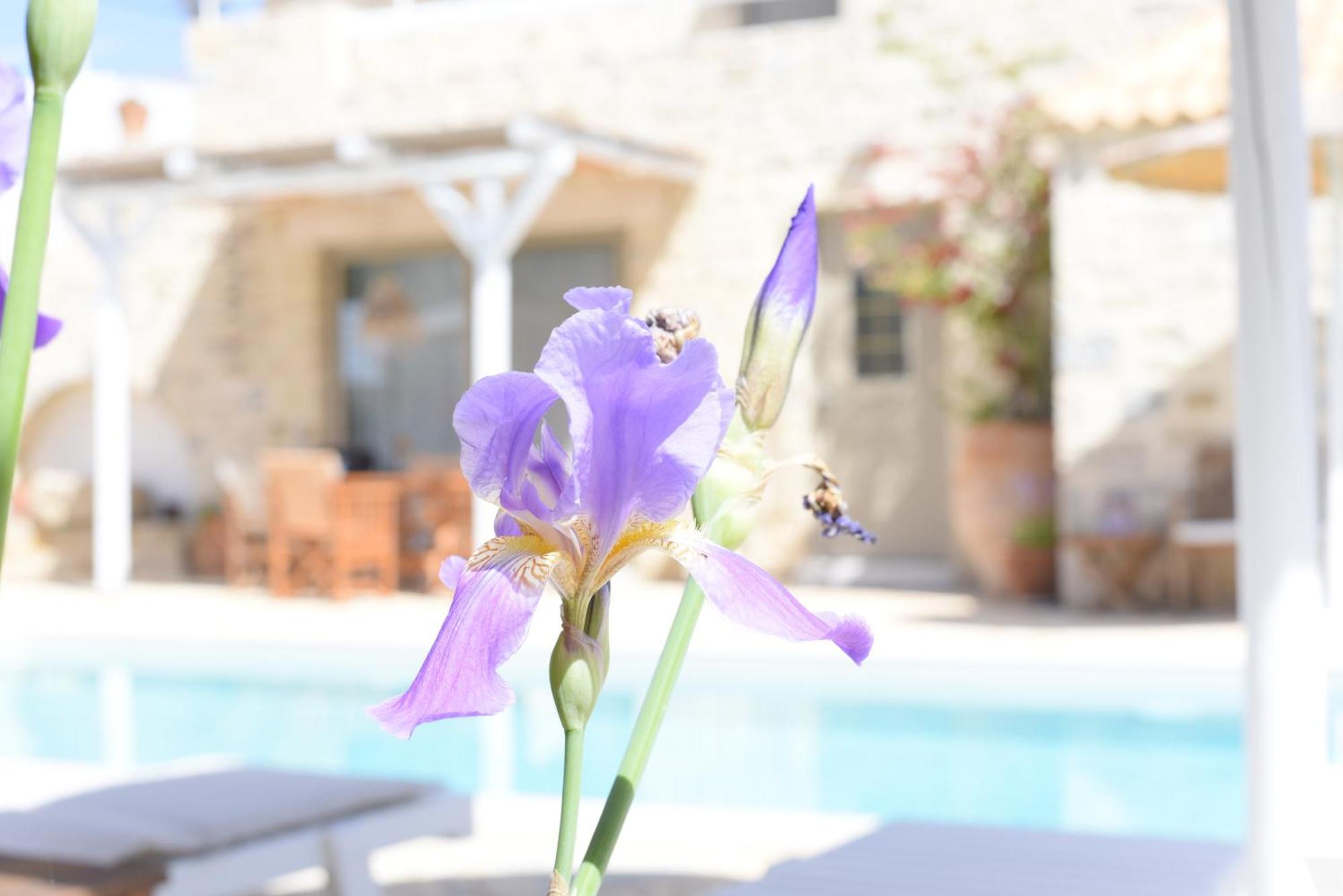 Laini Luxury Suites Pombia Kültér fotó